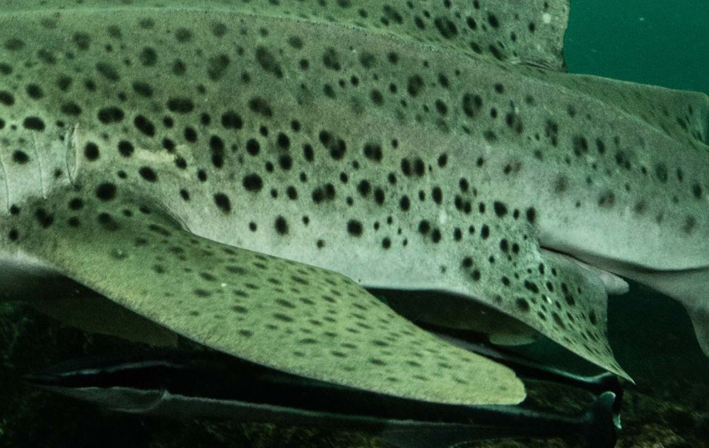 f2be489a-a27e-44ca-aaa8-addc2f7a79ab