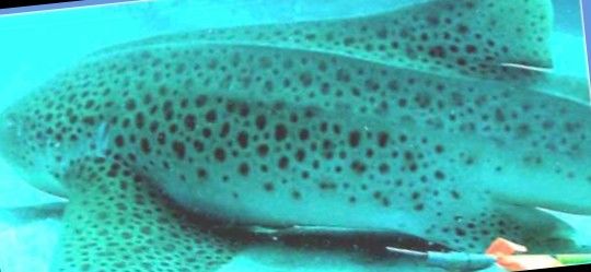 5de090cc-1838-4b81-bbff-d298d238ca4a