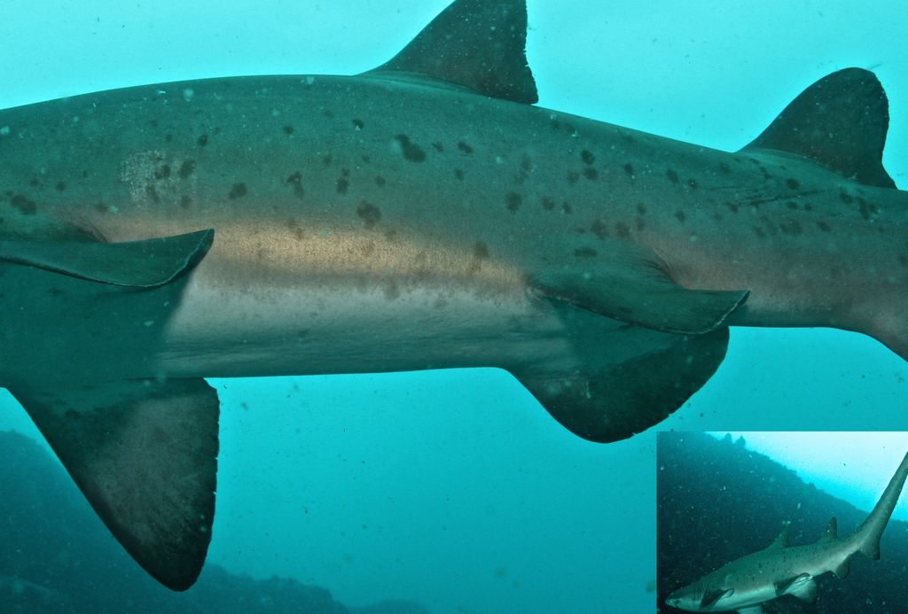 02eb7a49-5391-4e71-a5f7-c216e6745e18