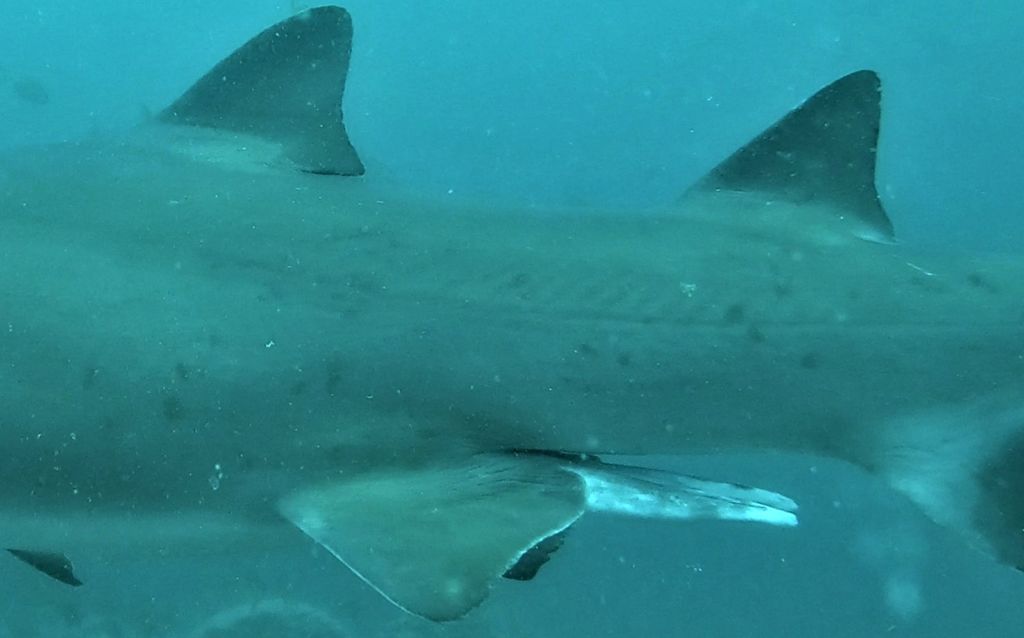 663cc9a2-7d8f-41f6-9d29-fae6622c0713