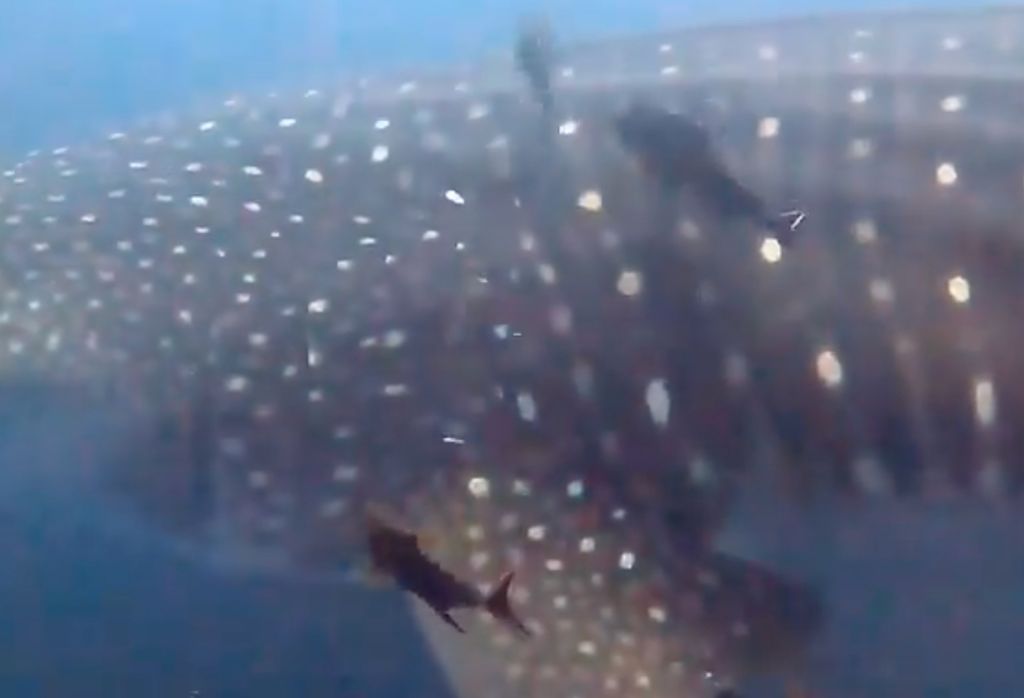 12beb078-9371-42b8-8eb5-19df70a5ddf6