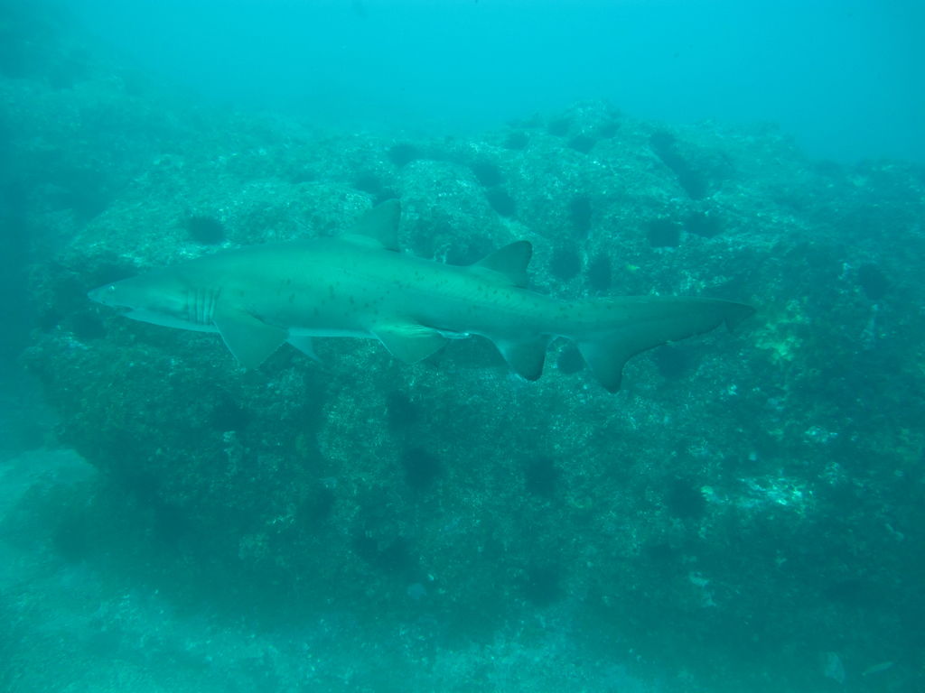 cb4ee7fc-1d9a-4635-8299-de91a19f570b