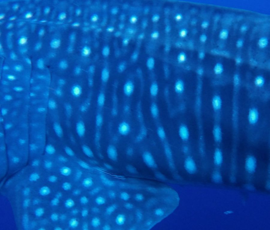 2a88e25c-b82b-4ba0-9314-23552082edb2