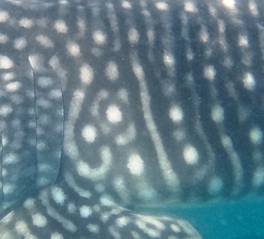 f14ca5a3-8451-421e-bd20-26cd4caa7f78