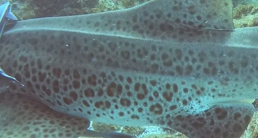 c6ba08bf-48b0-4e35-a98a-8880d7578e48