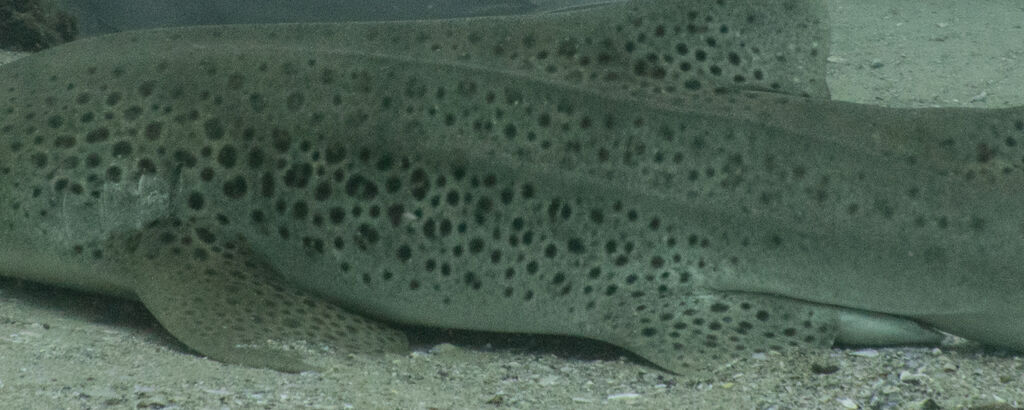 a91e79a9-082d-4a73-b5a5-e1ce7b174027