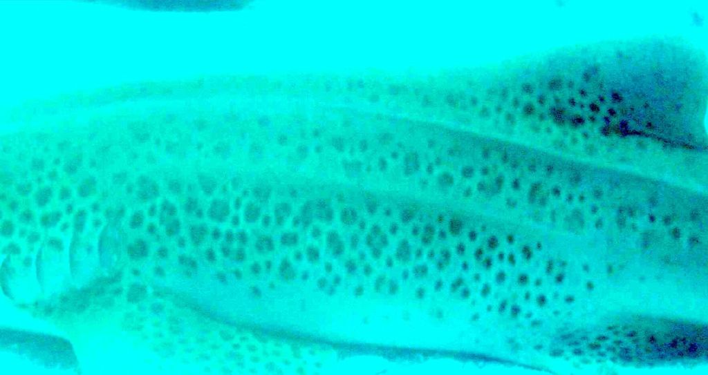 083a503c-b0c1-429c-b998-971f94a51609