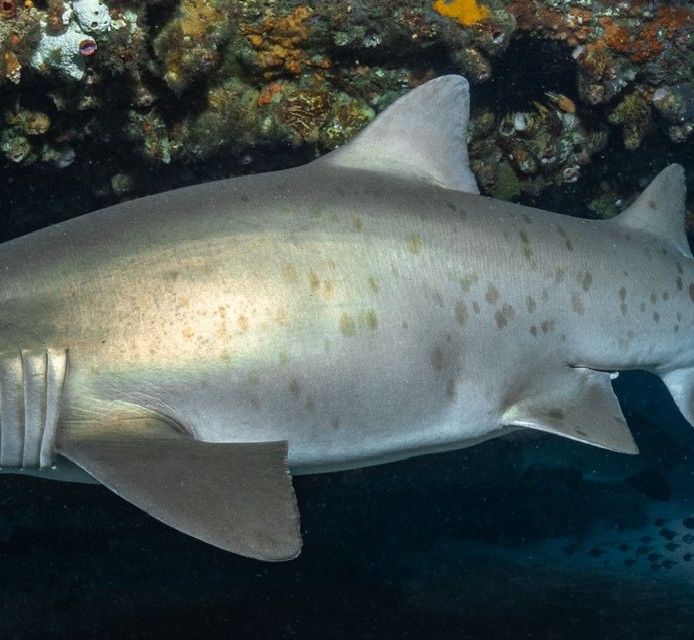 7be8614c-3a96-4458-87ea-97928cfdd489