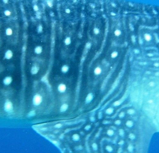 93954211-2564-4eeb-bd01-0b8ca98998d1