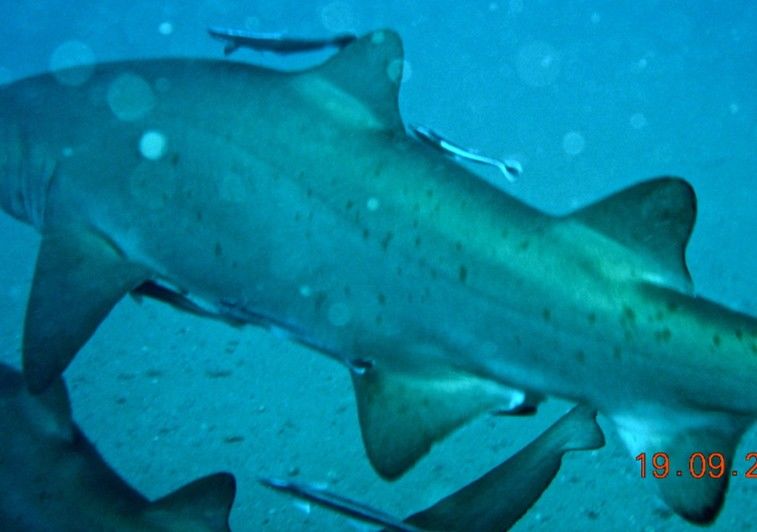 d6c3157c-9fd7-41c7-97d9-153f4b3711ec