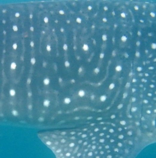 89ef886e-0545-4187-afb4-682d095778bb