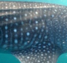 16f7cdb0-003c-42eb-aa4a-cdefb59f7acf