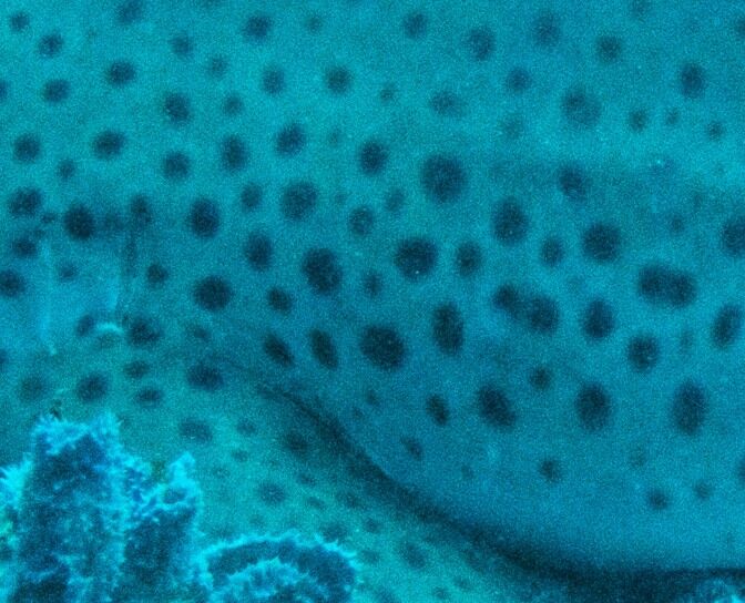 f3a1f118-72f7-42f9-b796-d76d08da9cc2