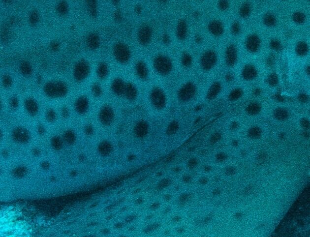 f3a1f118-72f7-42f9-b796-d76d08da9cc2