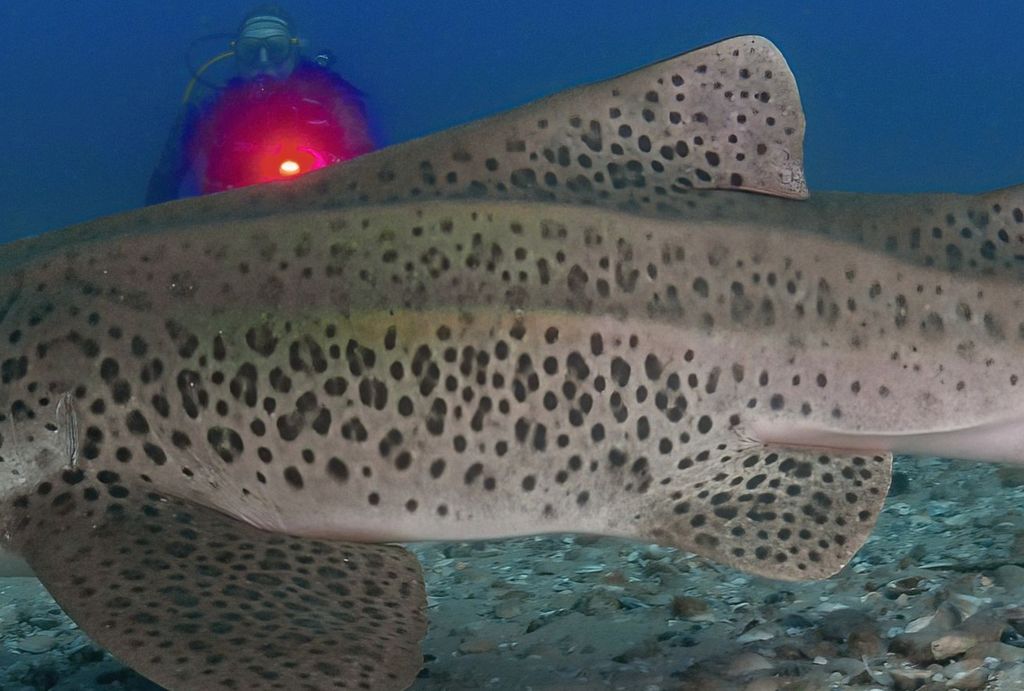 7207d33f-66de-4144-be05-85dfd8edede2