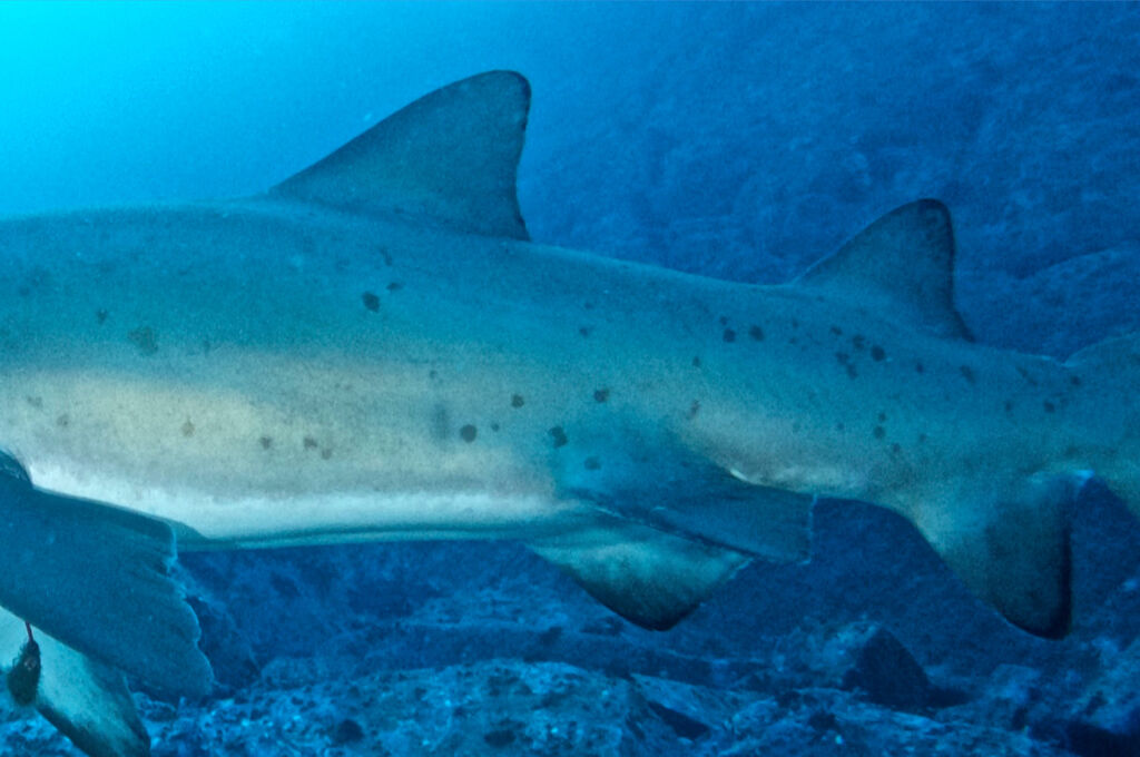 048d6636-d838-401b-9dba-44c3d76cb261