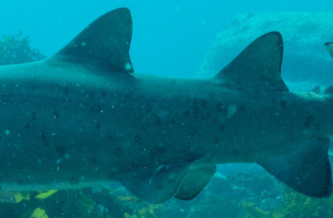 9105ff11-e6c5-426b-8553-a77039e0d4f1