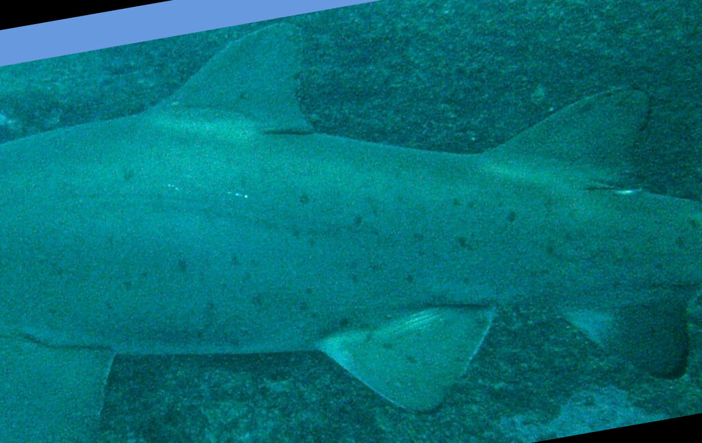 ab7b1a84-eb0d-4309-ae61-e492816235b2