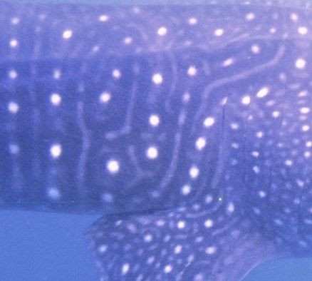 84280268-4526-4ec1-9ee1-346dc605272f