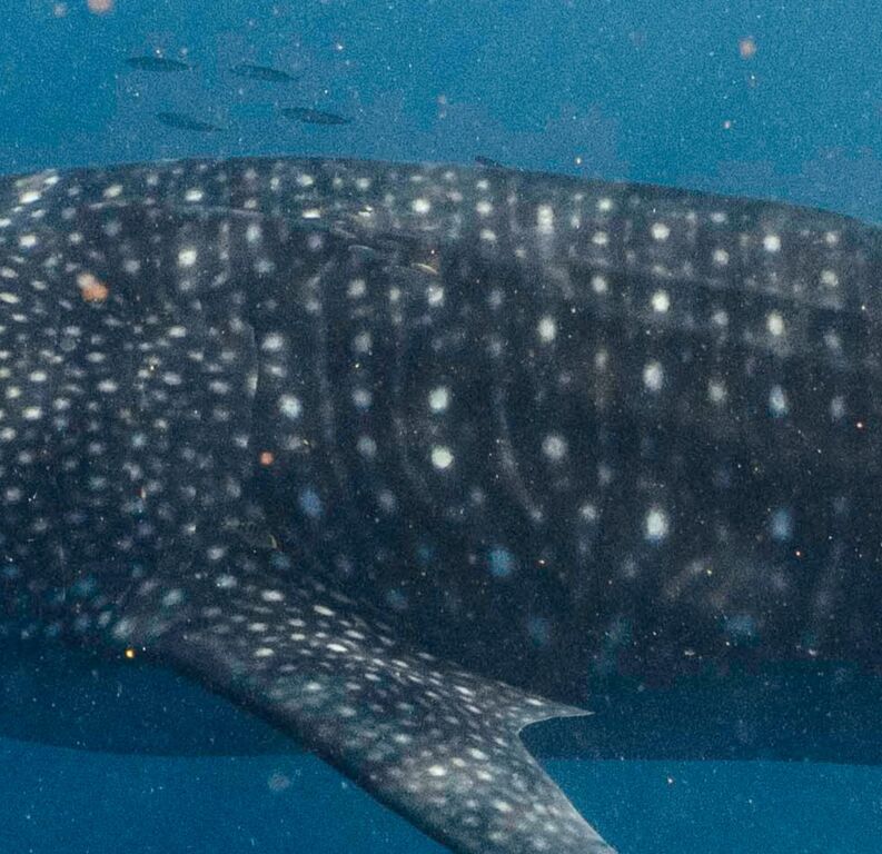 5ef4daa4-6934-4b86-a389-b2584ace1e22