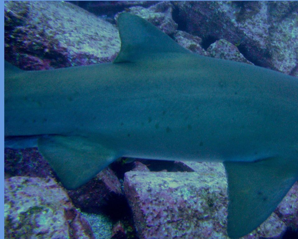 75789f1b-7523-42de-b94c-58ff23dba517