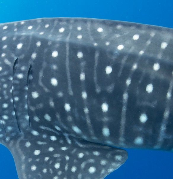 514d862c-c41f-4006-bd90-e92034fd11f3