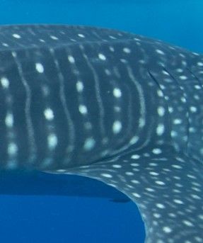 514d862c-c41f-4006-bd90-e92034fd11f3