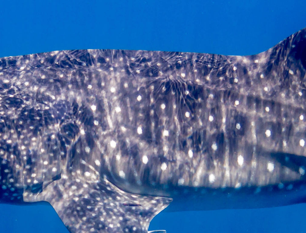 4f77b77b-2d91-420a-9246-4a040e3d437f