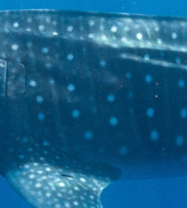 4d7d5b6a-b17b-4842-93f1-19c08306ea04