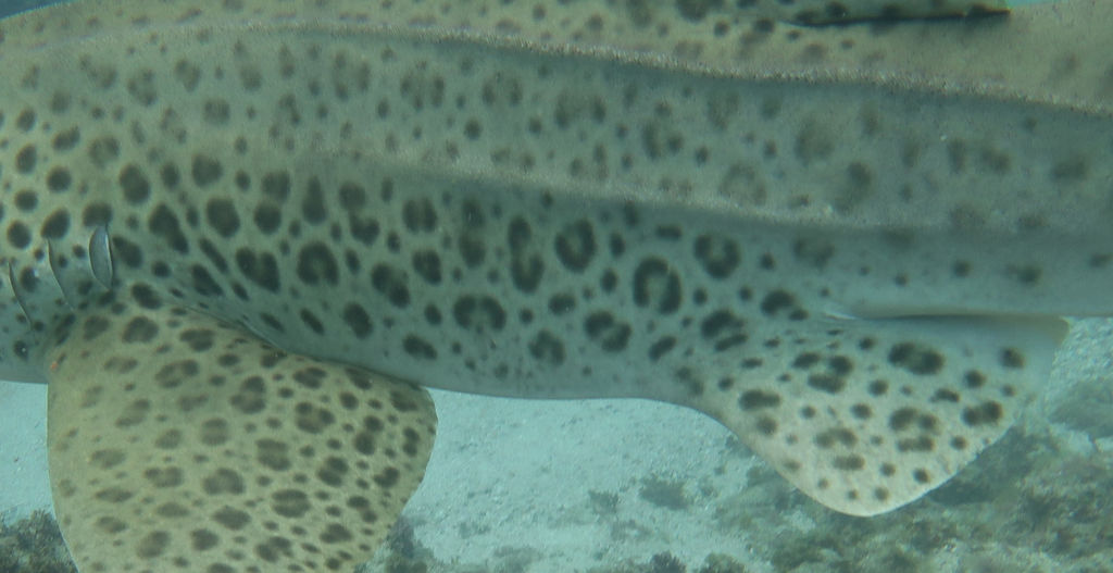 547c47e7-9133-4dc3-a432-b64d11e58686