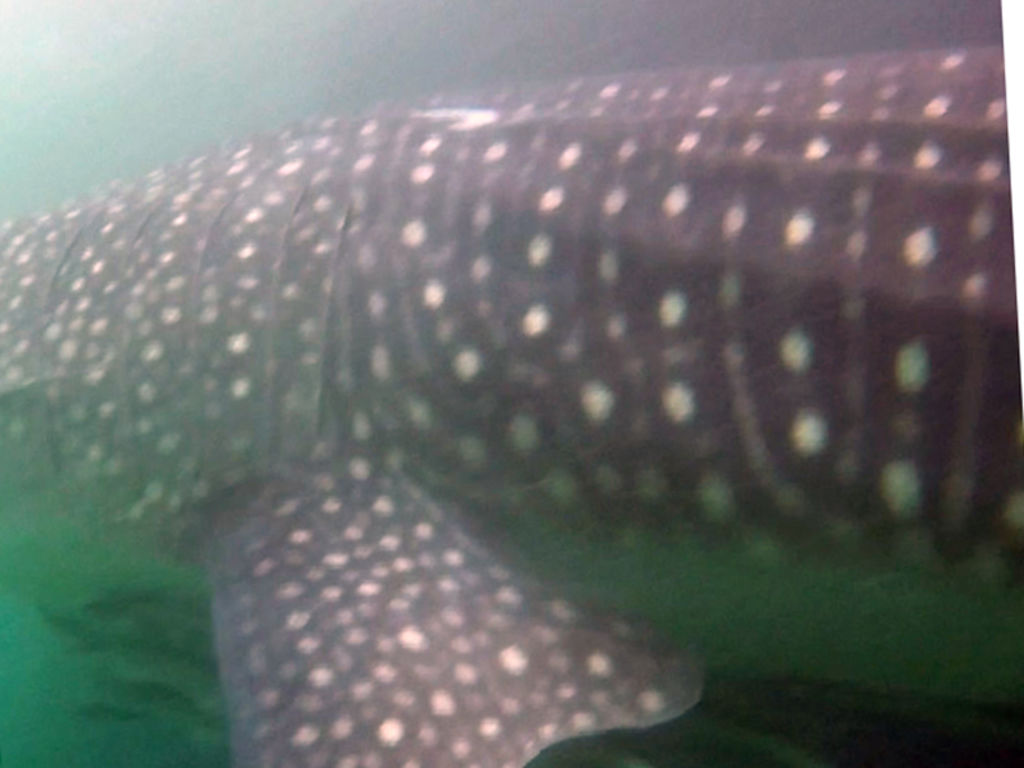 fce4955b-dcfd-4815-b63a-6b2c40399b7f