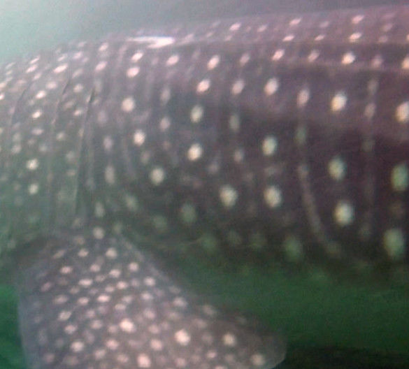 fce4955b-dcfd-4815-b63a-6b2c40399b7f