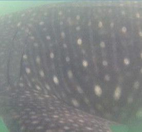 70d777c9-4ba2-485e-8e6c-590d3ea9fec9