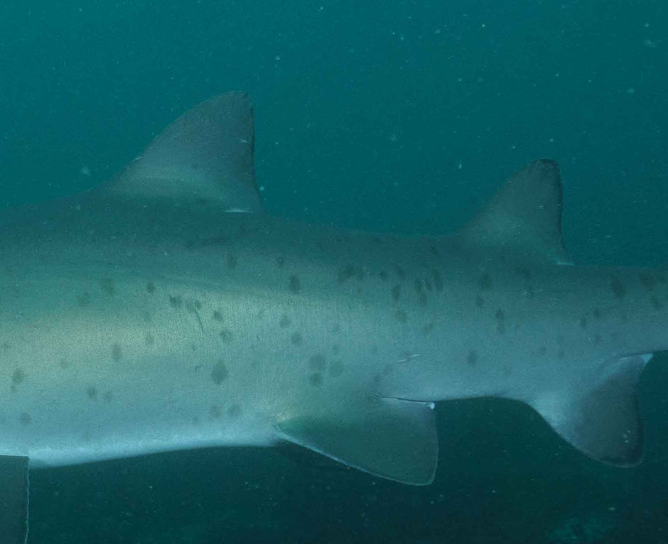 2439df16-597a-4675-88ae-6adfc3f73574