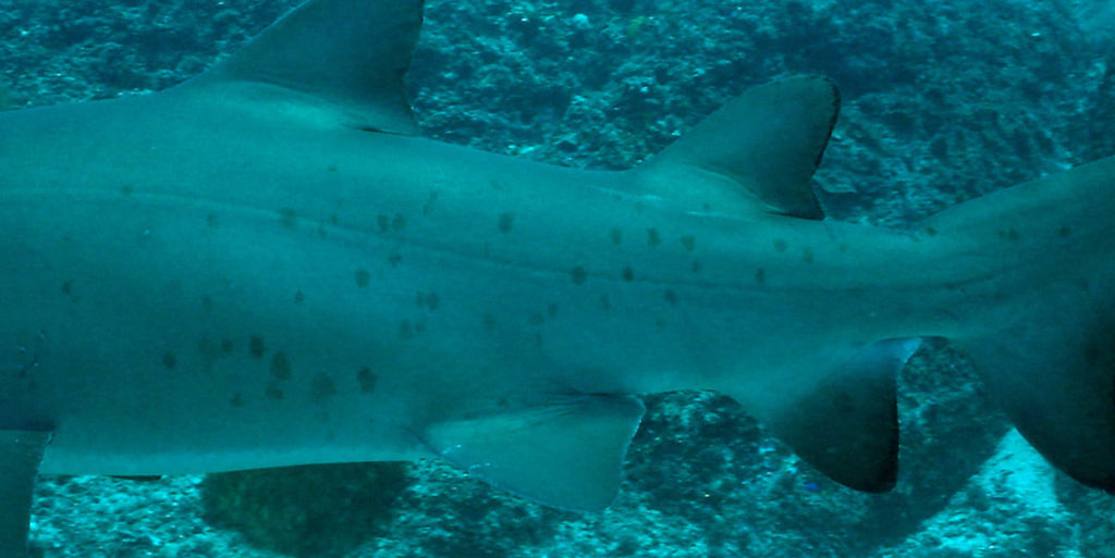 95370cc1-4a6d-4d48-8ee6-f21c9d5d8858