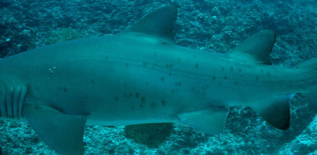 95370cc1-4a6d-4d48-8ee6-f21c9d5d8858