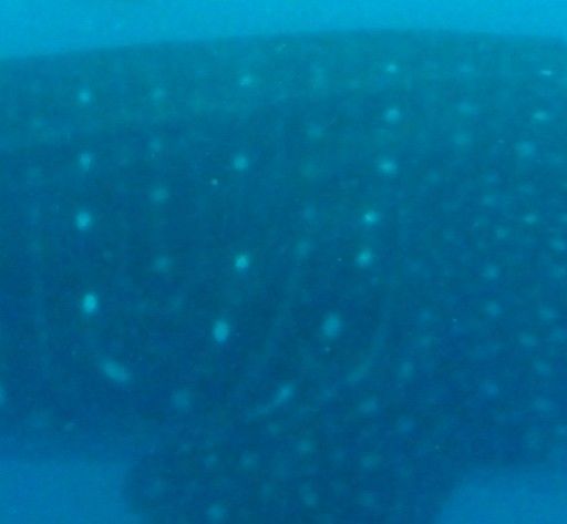 81f38b27-4414-4471-be39-17480f7fe048