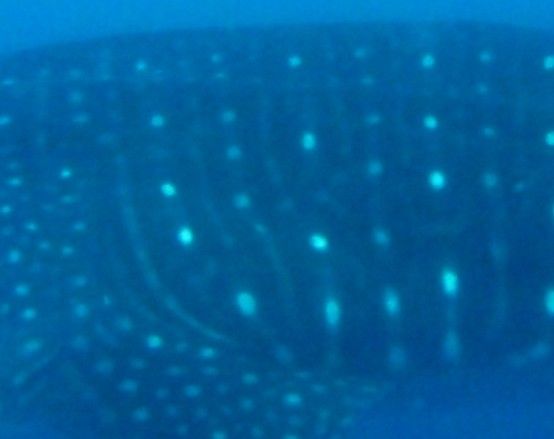 81f38b27-4414-4471-be39-17480f7fe048