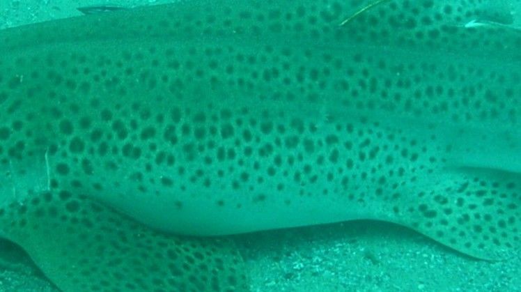 e95d2df0-b714-4055-970f-ac21d3046c4c