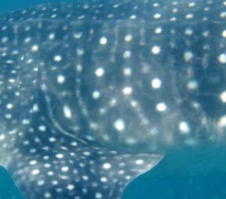 225f84d2-e142-4915-a9d5-8d08a88988ef