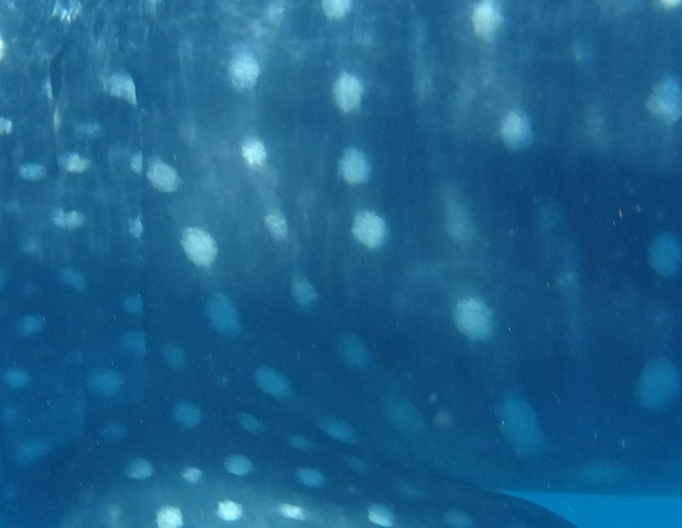 1745bc4b-d39f-4976-96ed-0b7868e84967