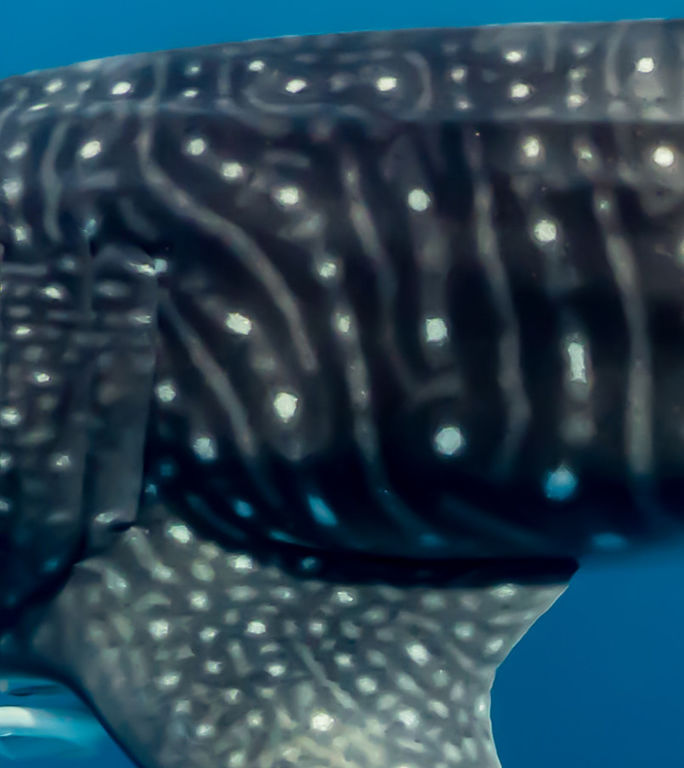 8346659c-598c-45b3-a959-0449a1e316be