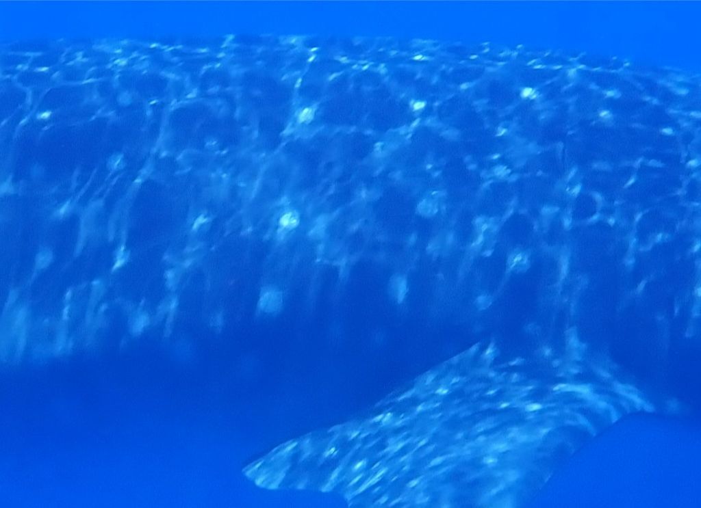 8dc5914d-45ca-404a-b7c6-165d53bffc7b