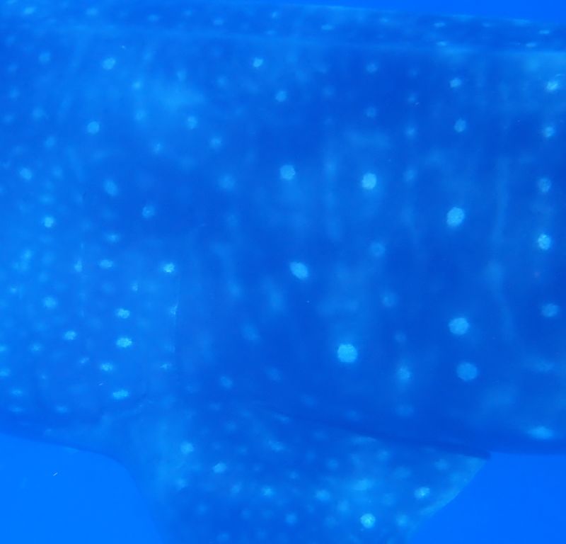 8dc5914d-45ca-404a-b7c6-165d53bffc7b