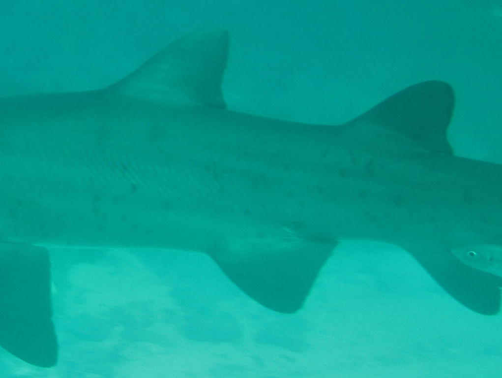 ca877315-59fd-442f-8bca-e6186ba908b4