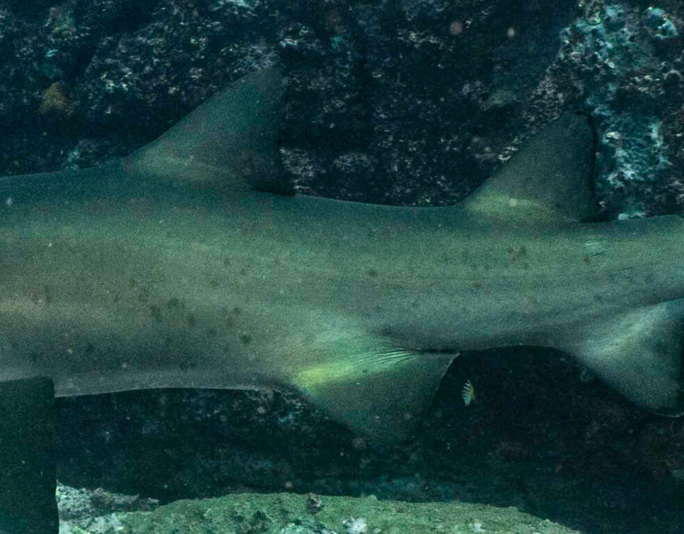 0d79645f-99e1-4f6b-a9d2-9eaf4800c732