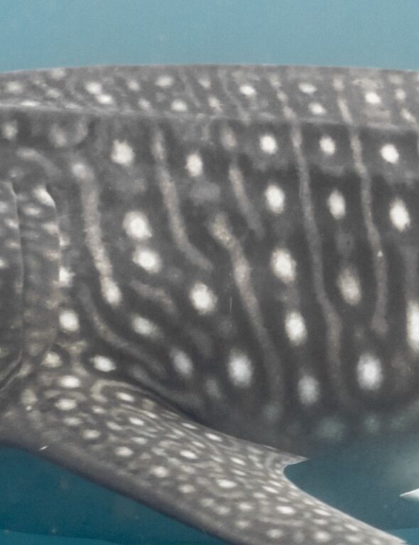 1d0872aa-e483-4f21-8102-94b7fbd0327c