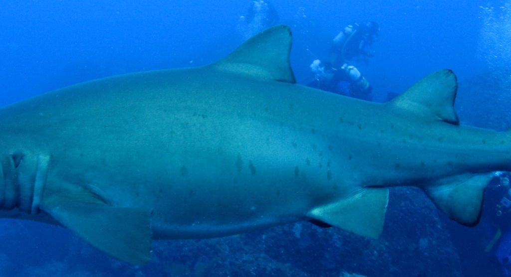 144e37e7-995a-4d18-bab9-d6972befbaae