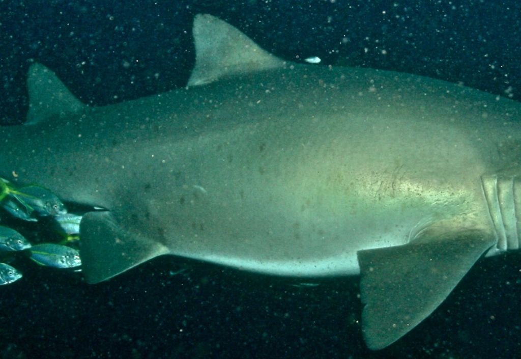 144e37e7-995a-4d18-bab9-d6972befbaae