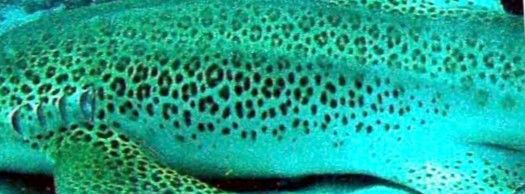 581dc8cf-63d8-48e1-b2a6-5c383c0fcf05